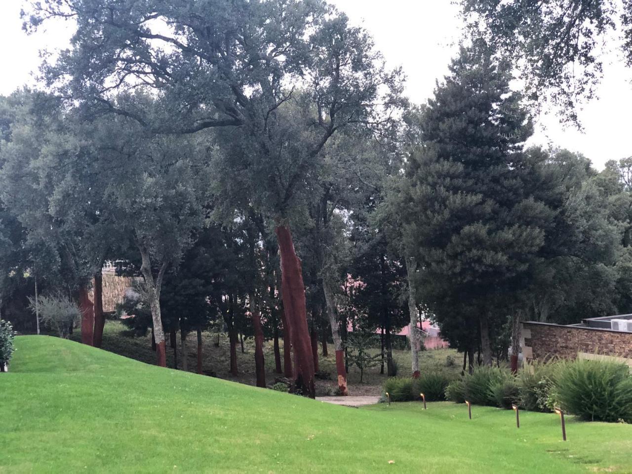 Bosque Da Harmonia Vendégház Arco de Baulhe Kültér fotó