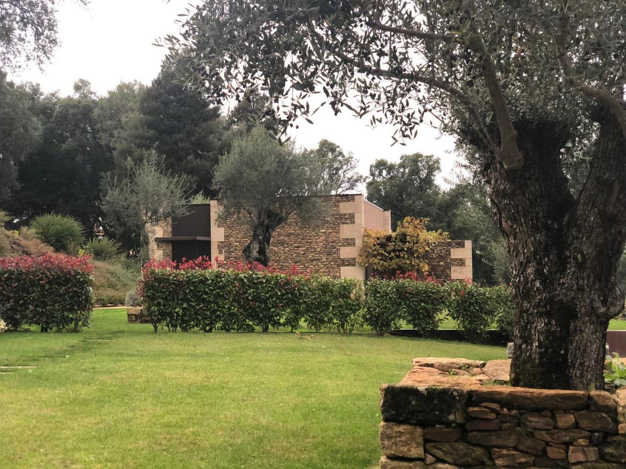 Bosque Da Harmonia Vendégház Arco de Baulhe Kültér fotó