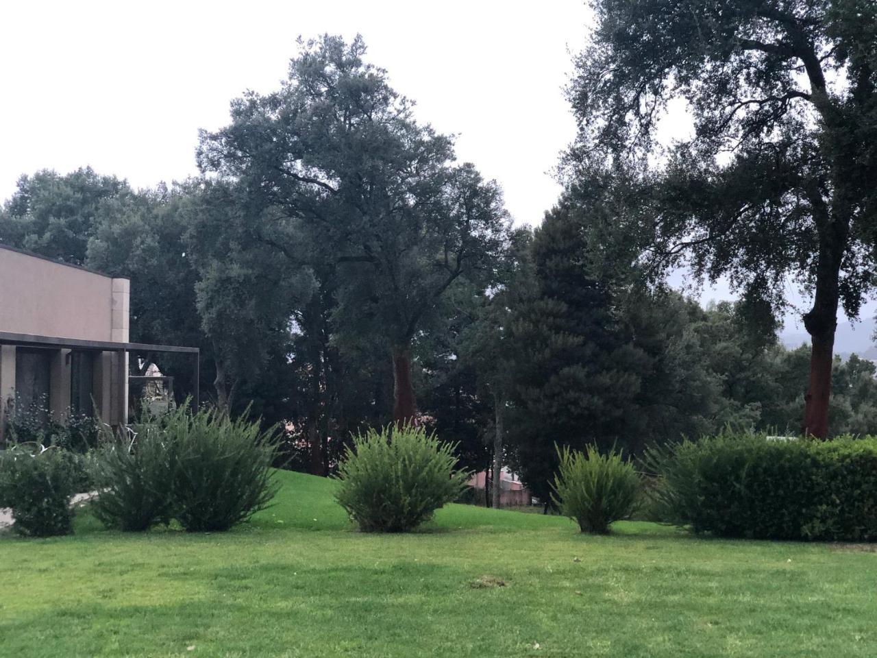 Bosque Da Harmonia Vendégház Arco de Baulhe Kültér fotó